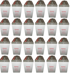 NPG1000-2 x 24 1000AH 48V GEL deep cycle battery